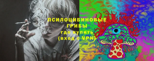 гашик Осташков