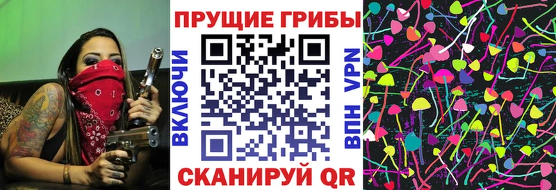 мориарти Telegram  Светлый  Псилоцибиновые грибы прущие грибы 